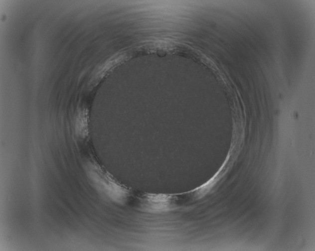 X0000081330144200701111408