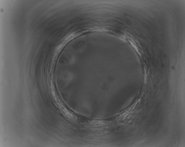 X0000081330145200701111407