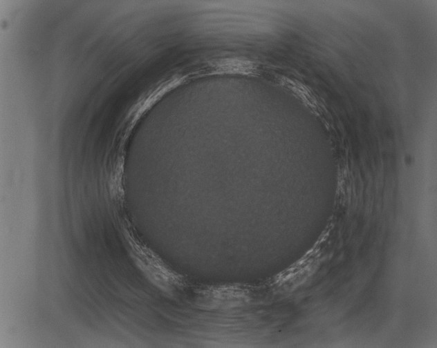 X0000081330146200701111407