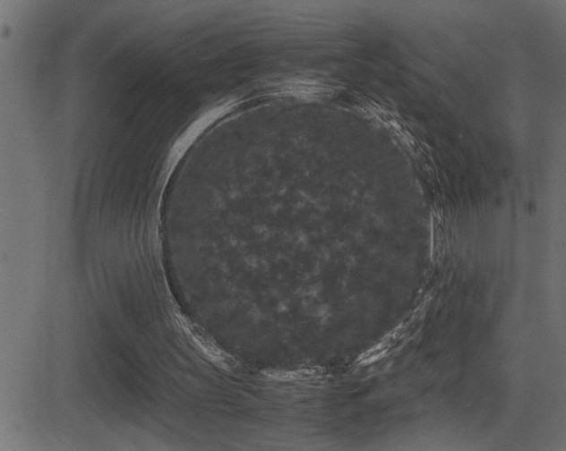 X0000081330147200701111407