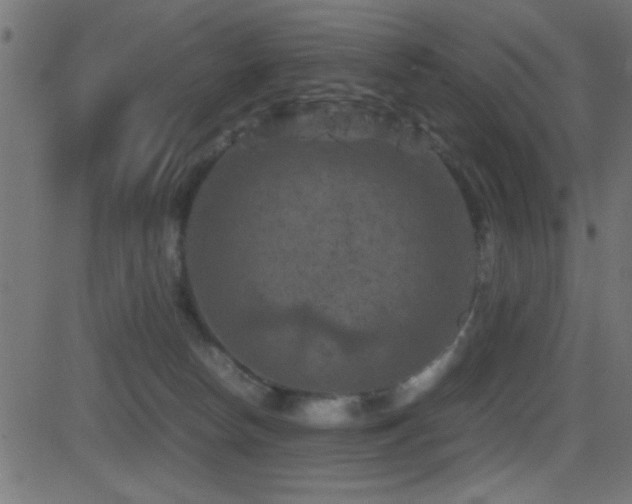 X0000081330178200701111408