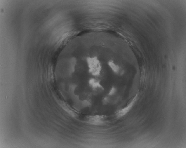 X0000081330182200701111408