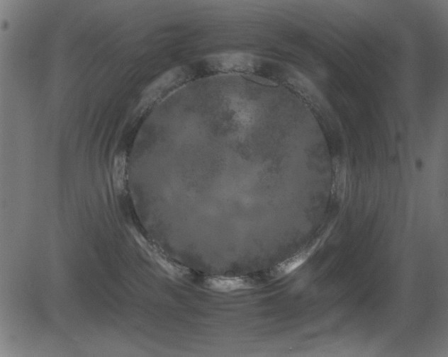 X0000081330189200701111408