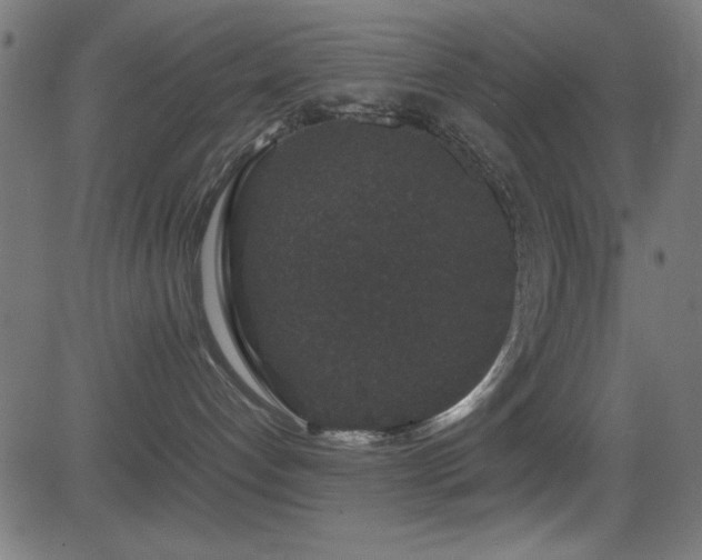 X0000081330192200701111408
