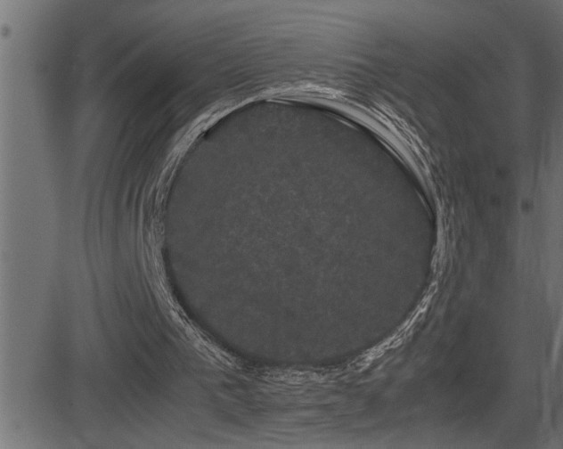X0000081330193200701111407