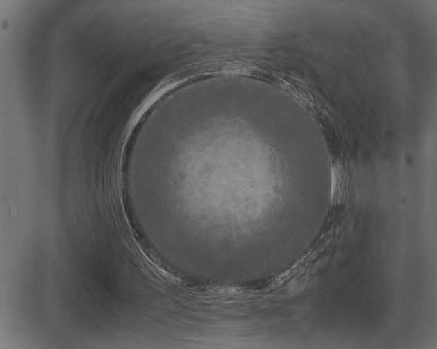 X0000081330195200701111407
