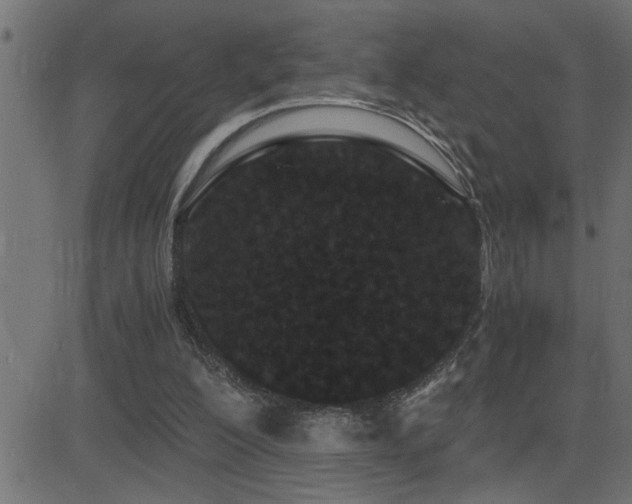 X0000081330200200701111407