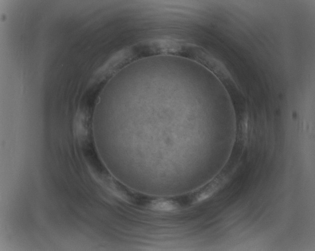 X0000081330218200701111407