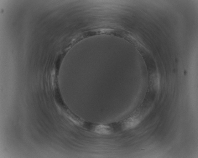 X0000081330222200701111407