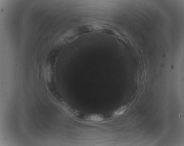 X0000081330223200701111407
