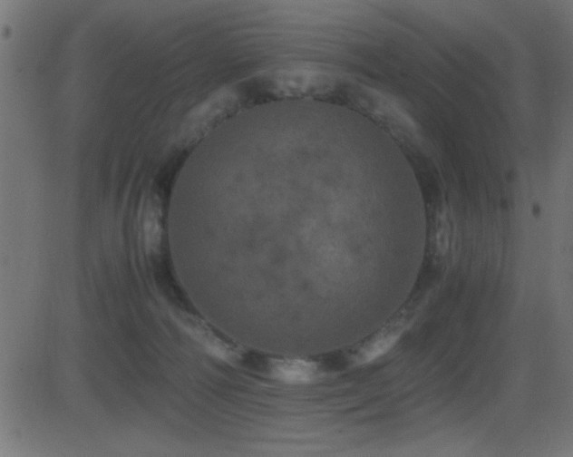 X0000081330226200701111407