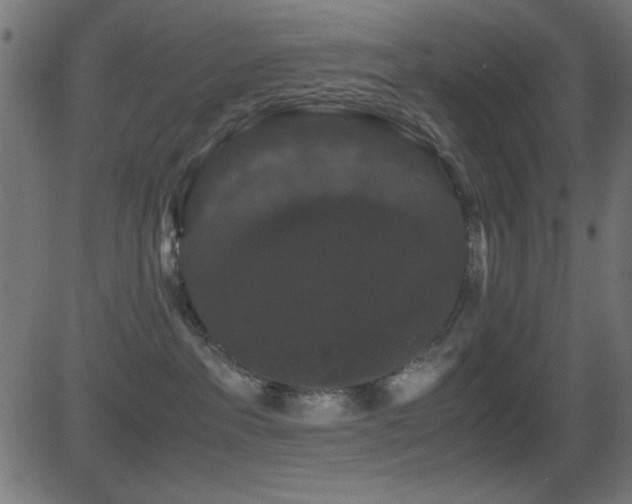 X0000081330237200701111407