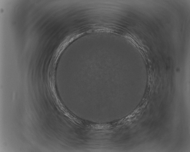 X0000081330241200701111406