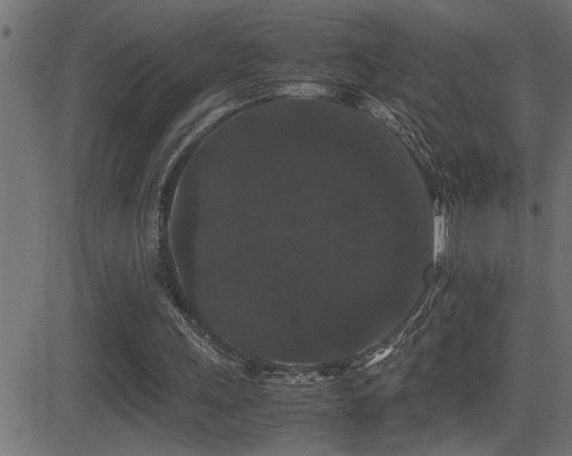 X0000081330243200701111406