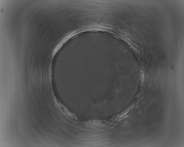 X0000081330244200701111406