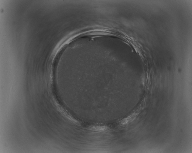 X0000081330247200701111406
