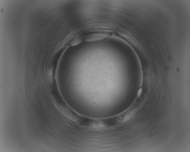X0000081330262200701111406