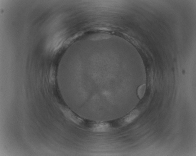 X0000081330274200701111406