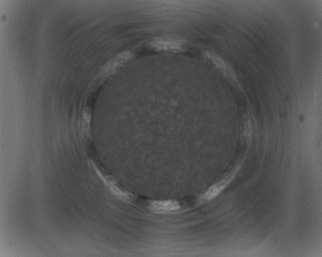 X0000081330281200701111406