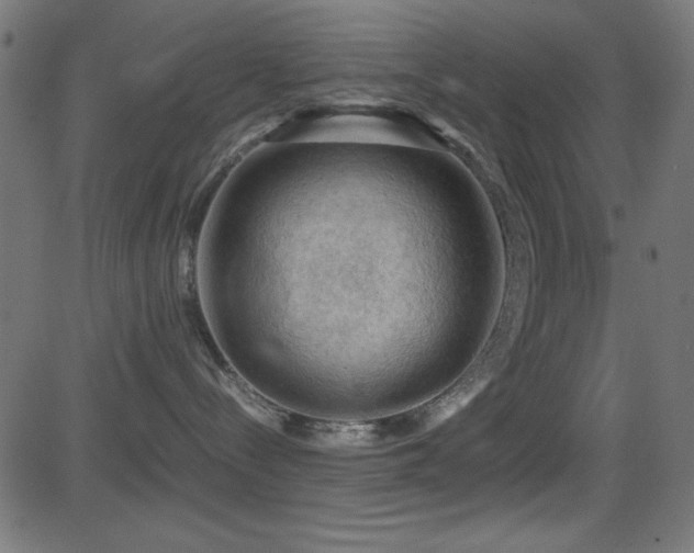 X0000081330288200701111407
