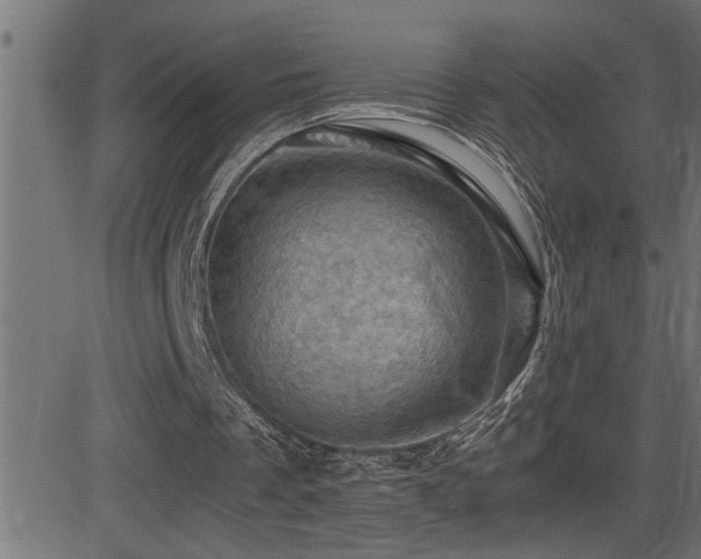 X0000081330289200701111406