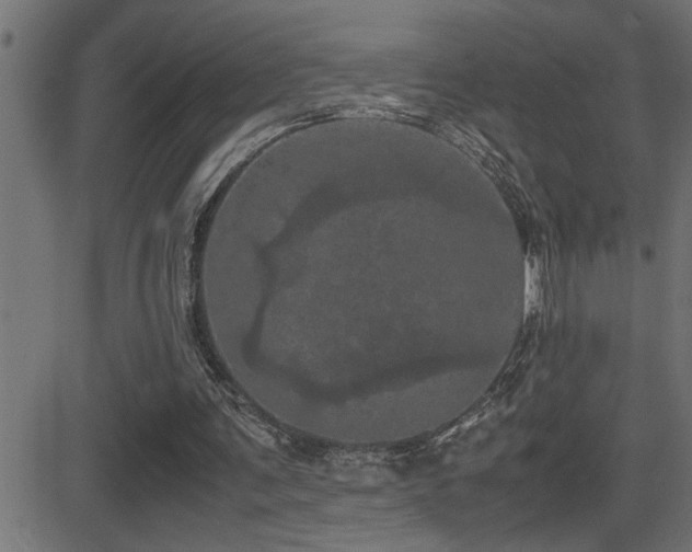 X0000081330291200701111406