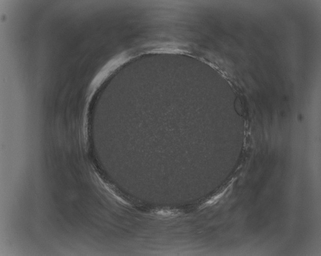 X0000081330296200701111406
