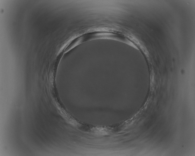 X0000081330297200701111406
