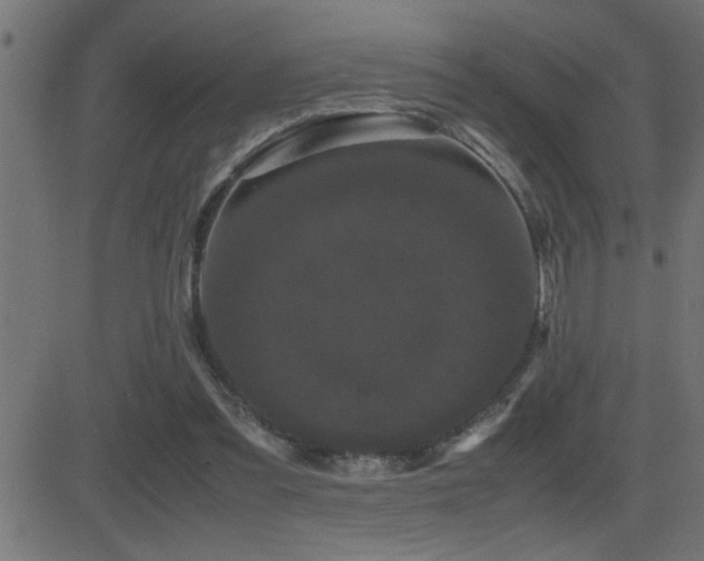 X0000081330301200701111406