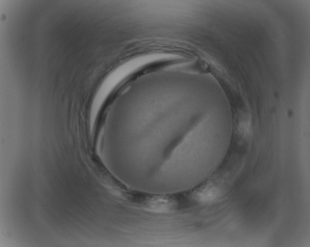 X0000081330315200701111405