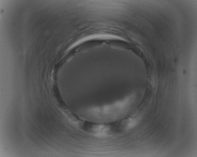 X0000081330319200701111405