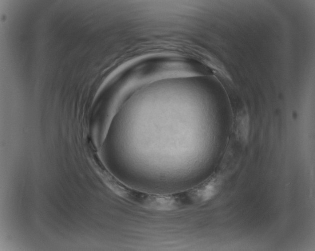 X0000081330329200701111405