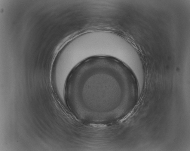 X0000081330340200701111404