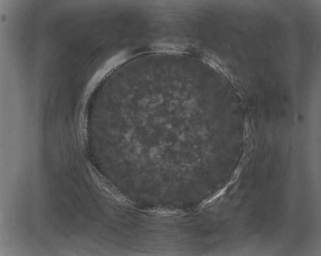 X0000081330343200701111404