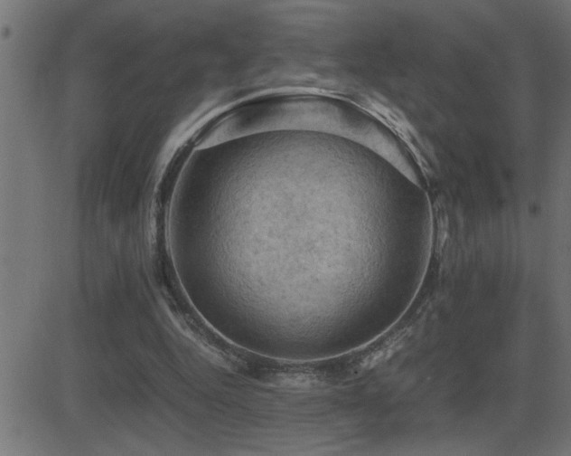 X0000081330344200701111404