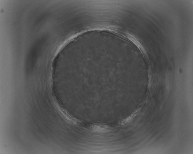 X0000081330346200701111404