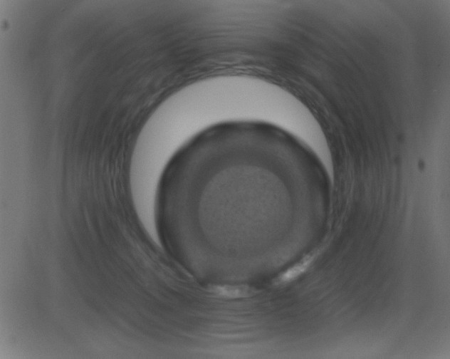 X0000081330372200701111405
