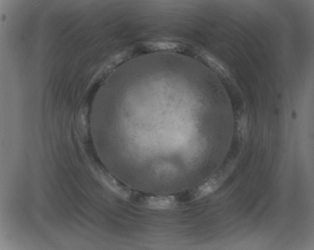 X0000081330373200701111405