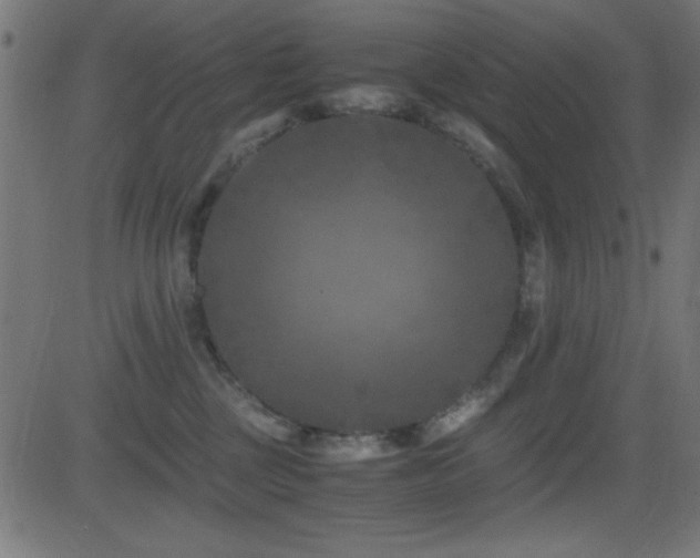 X0000081330377200701111405