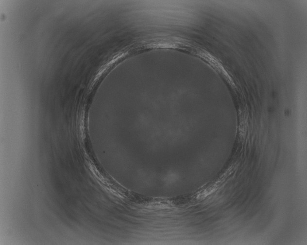 X0000081330386200701111404