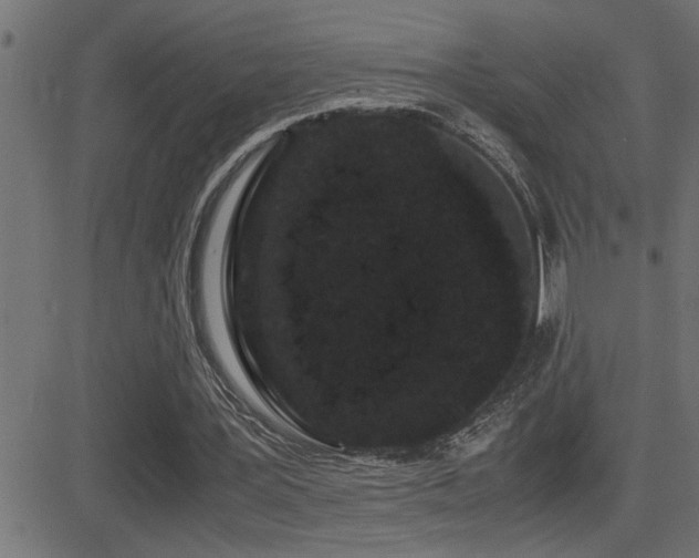 X0000081330387200701111404