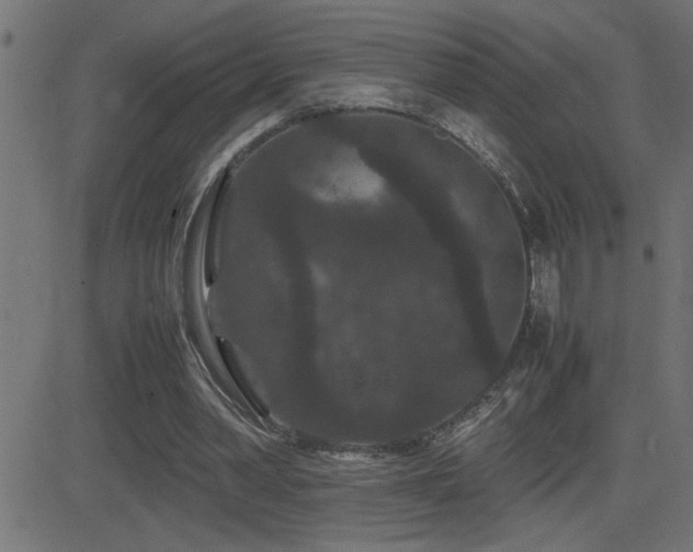 X0000081330390200701111404