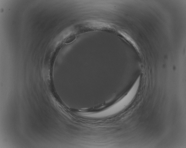 X0000081330399200701111404