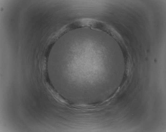 X0000081330413200701111404