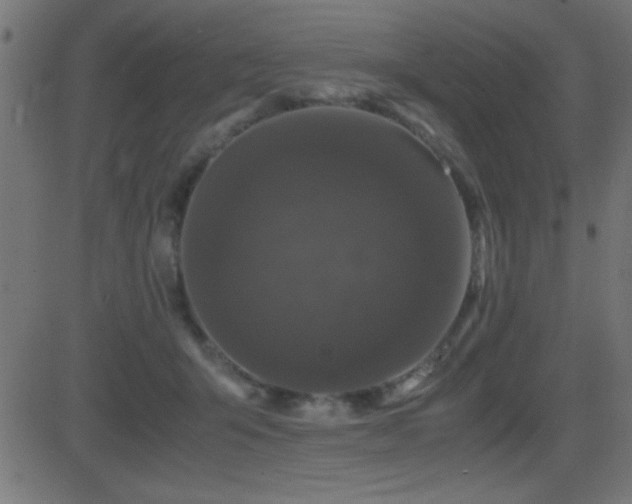 X0000081330415200701111404