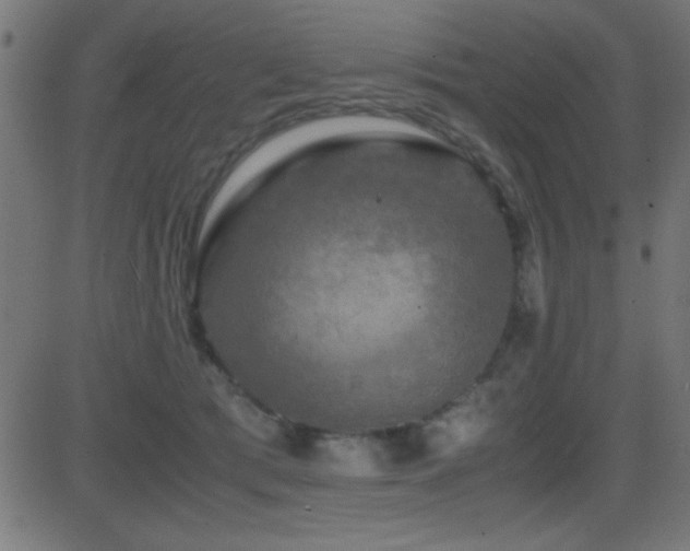 X0000081330417200701111404