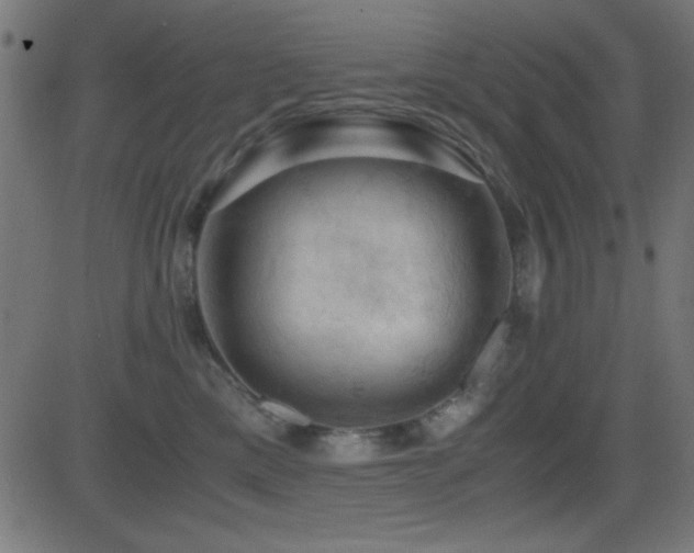 X0000081330425200701111403