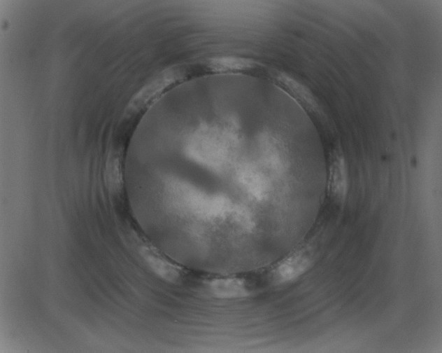 X0000081330426200701111403