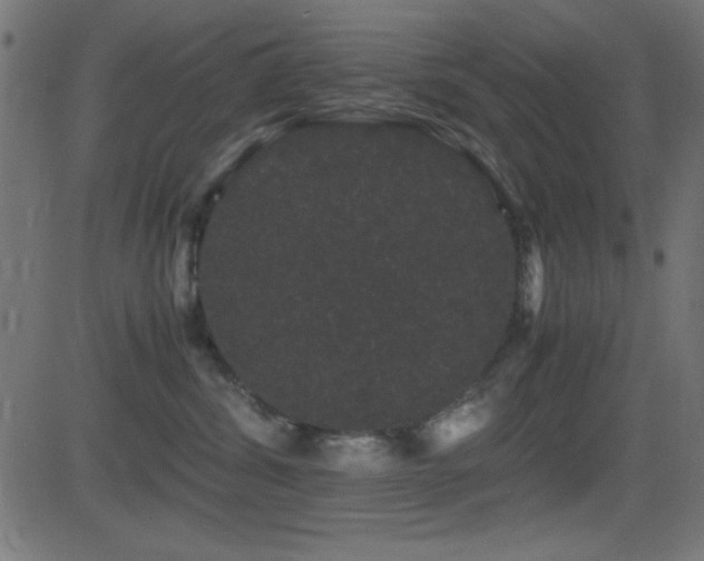 X0000081330428200701111403