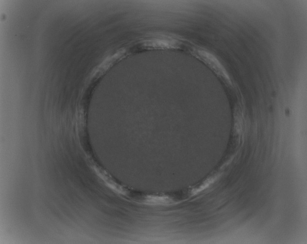 X0000081330457200701111403